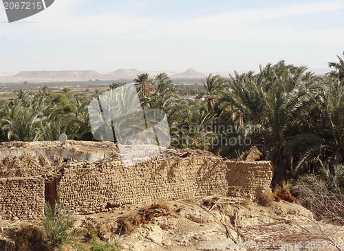 Image of around Bahariya Oasis