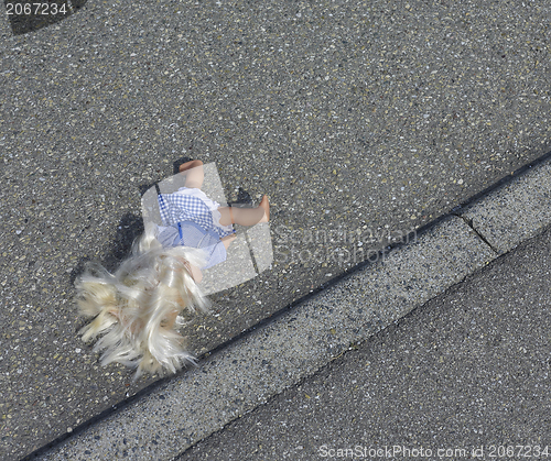 Image of doll on the street