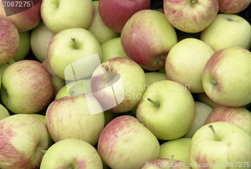 Image of full frame apple background