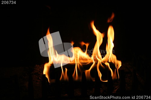 Image of burning log