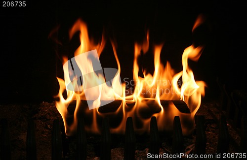 Image of burning log