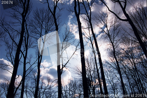 Image of Blue Sky