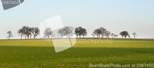 Image of rural landscape in Hohenlohe