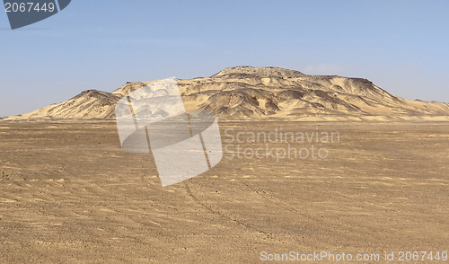 Image of Libyan Desert