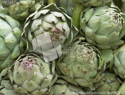 Image of Artichokes