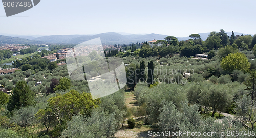 Image of Florence