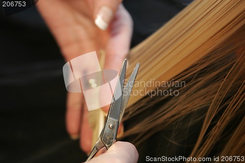 Image of hairdressing