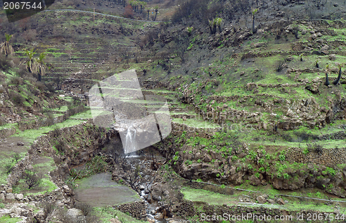 Image of La Gomera