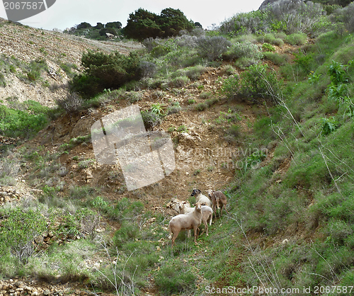 Image of La Gomera