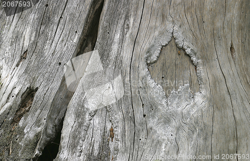 Image of weathered wood detail