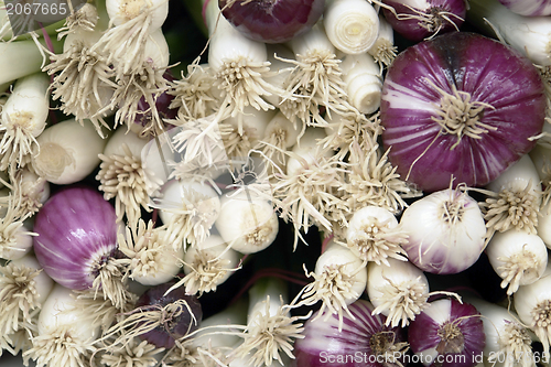 Image of green onions