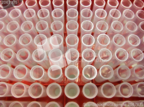 Image of pipette tips