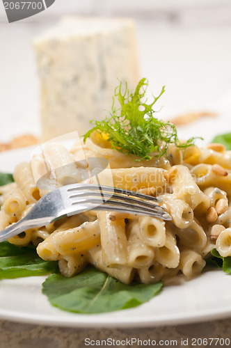 Image of Italian pasta penne gorgonzola and pine nuts