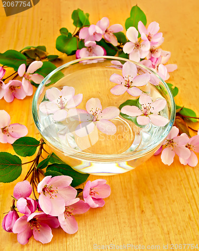 Image of Apple blossom in a cup of water