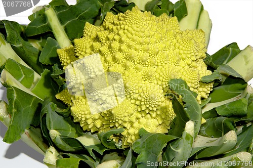 Image of romanesco - italian broccoli