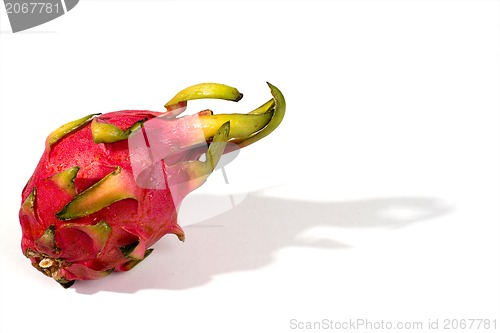 Image of Dragon fruit