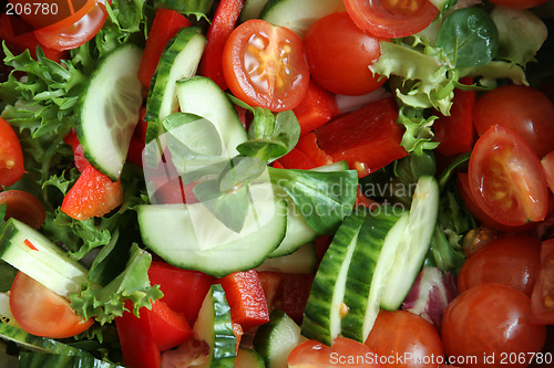 Image of organicsalad