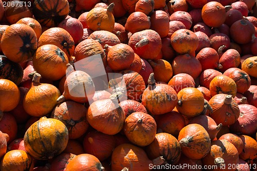 Image of Heap of pumpkins
