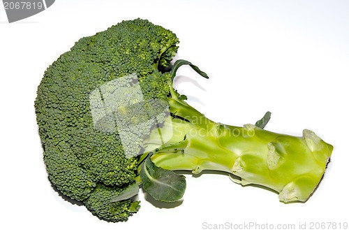 Image of Fresh raw green broccoli