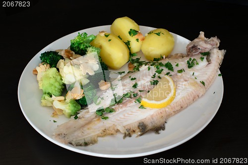 Image of Dover sole fish dinner