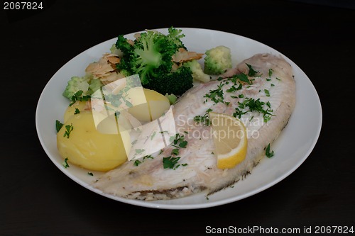 Image of Dover sole fish dinner