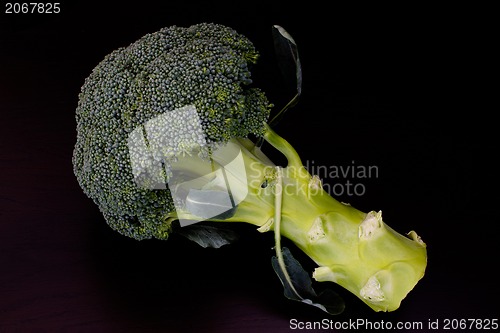 Image of Fresh raw green broccoli