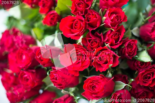 Image of red roses