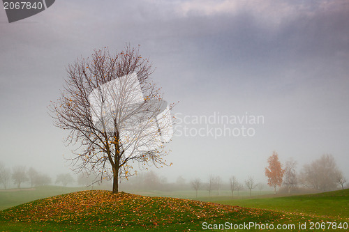 Image of Autumn on the golf course