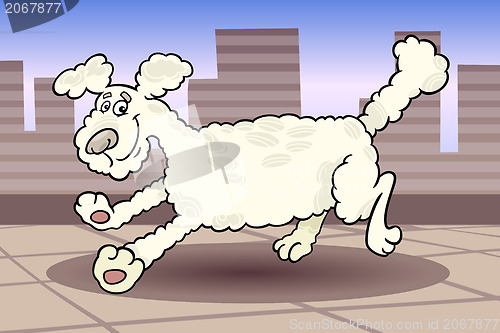 Image of running poodle dog cartoon illustration