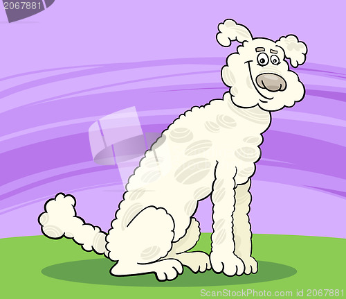 Image of poodle dog cartoon illustration