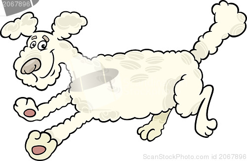 Image of running poodle dog cartoon illustration