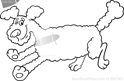 Image of running poodle cartoon for coloring