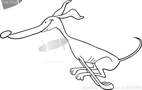 Image of running greyhound cartoon for coloring