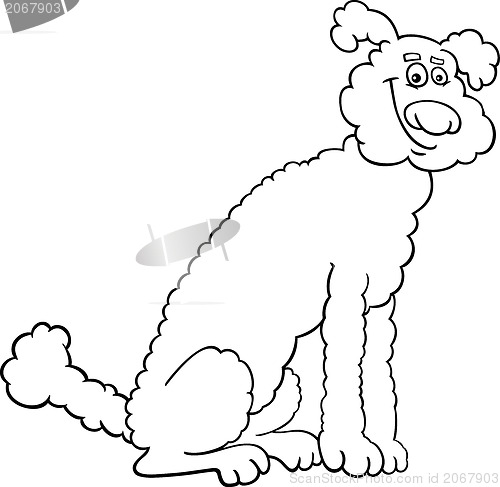Image of poodle dog cartoon for coloring book