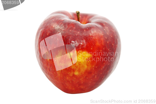 Image of Red Apple