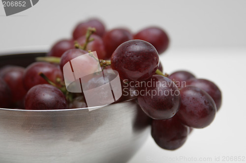 Image of Grapesred