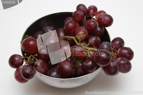 Image of winegrapes