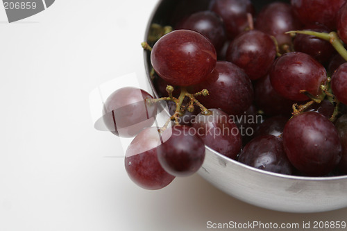 Image of freshgrapes