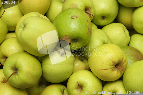 Image of greenapples