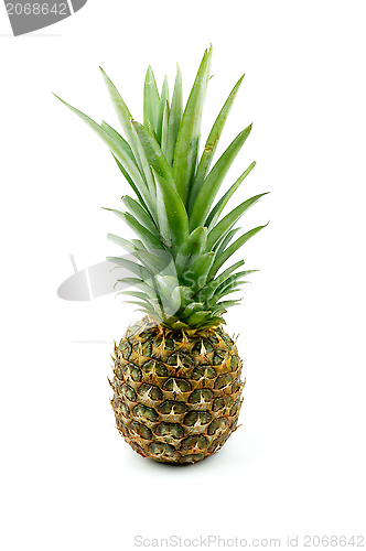 Image of Pineapple