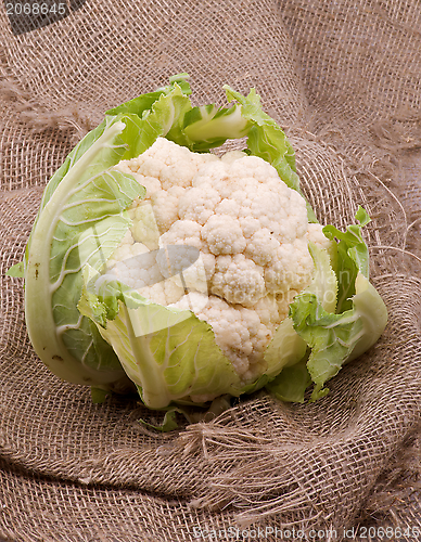 Image of Cauliflower