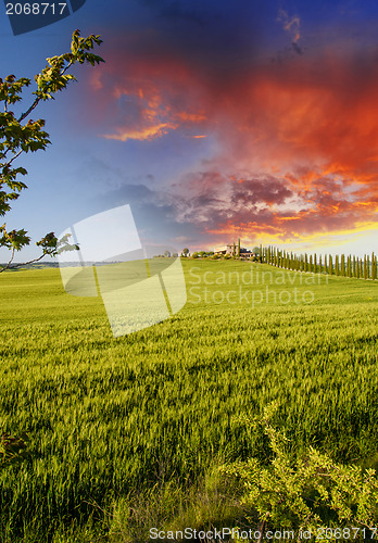 Image of Landscape and Meadows of Tuscany, Spring Season