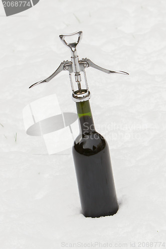 Image of Bottle of red wine in the snow