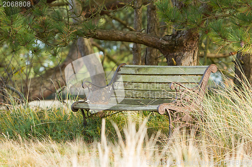 Image of Old steel bench in the dutch nature