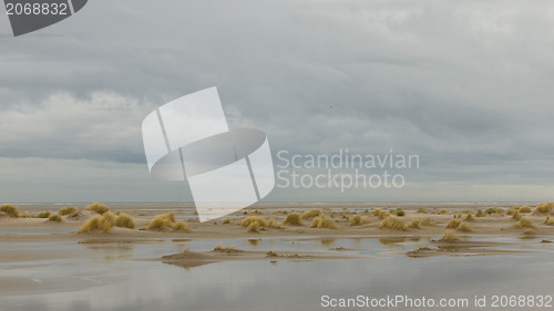 Image of Low tide at the dunes of Ameland