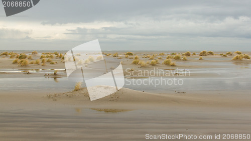 Image of Low tide at the dunes of Ameland