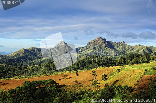 Image of Asian Mountain Farm