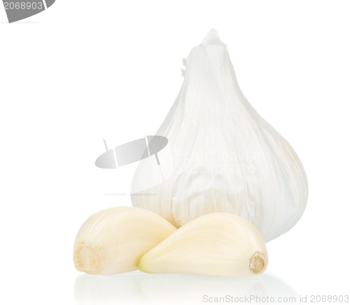 Image of Fresh garlic