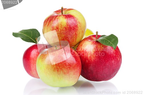 Image of Fresh apple