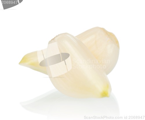 Image of Fresh garlic